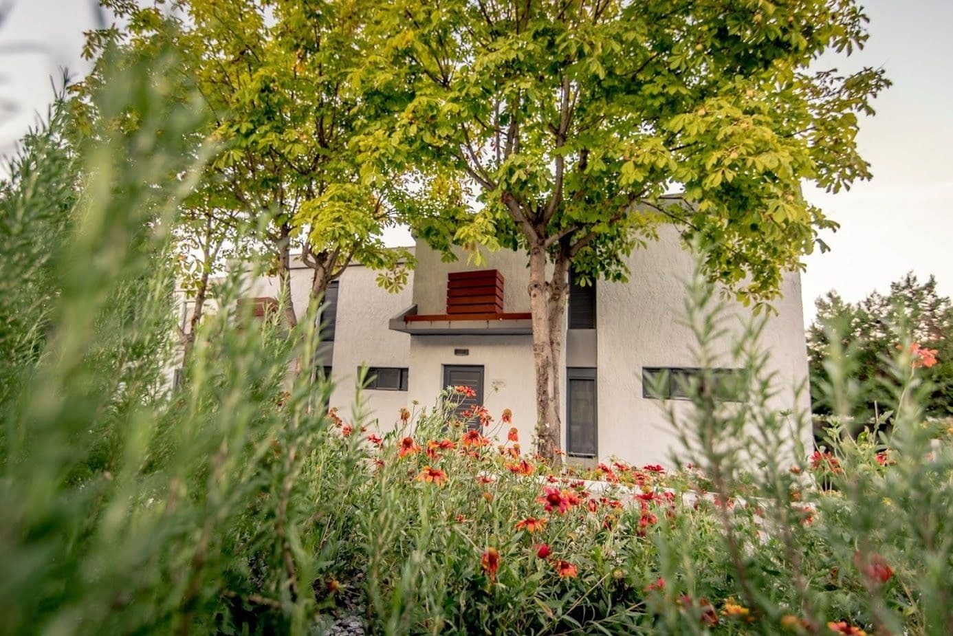 Pleiades Boutique Villas Kriopigi Eksteriør billede